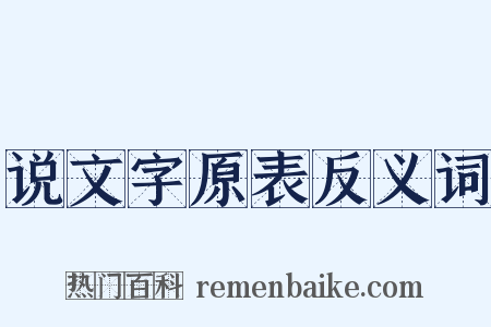 说文字原表反义词是什么意思的图片